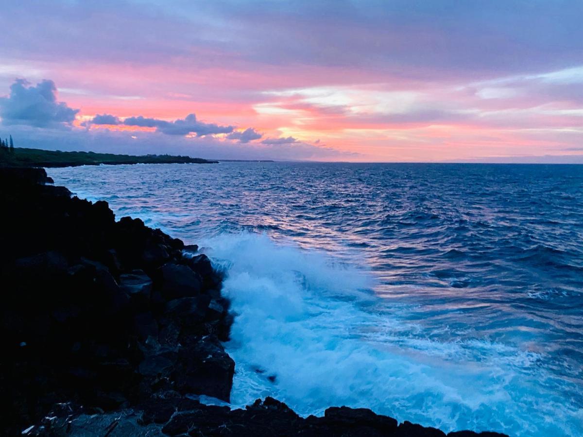 Wild Blue Water * Pahoa