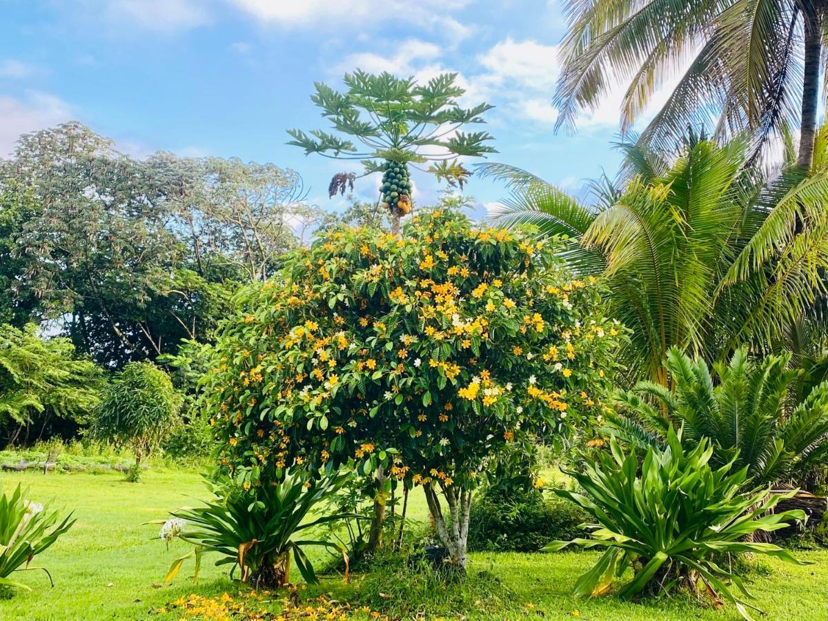 Homestay Wild Blue Water