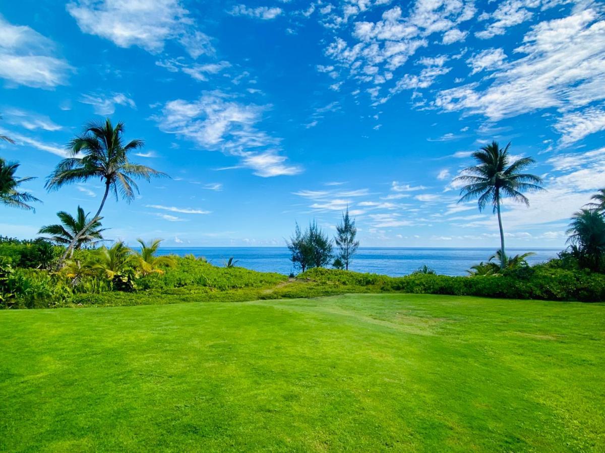 Homestay Wild Blue Water