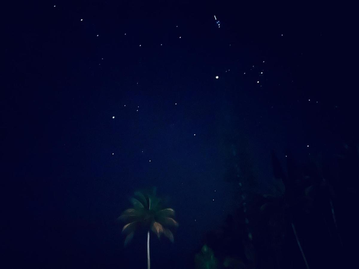 Homestay Wild Blue Water Pahoa