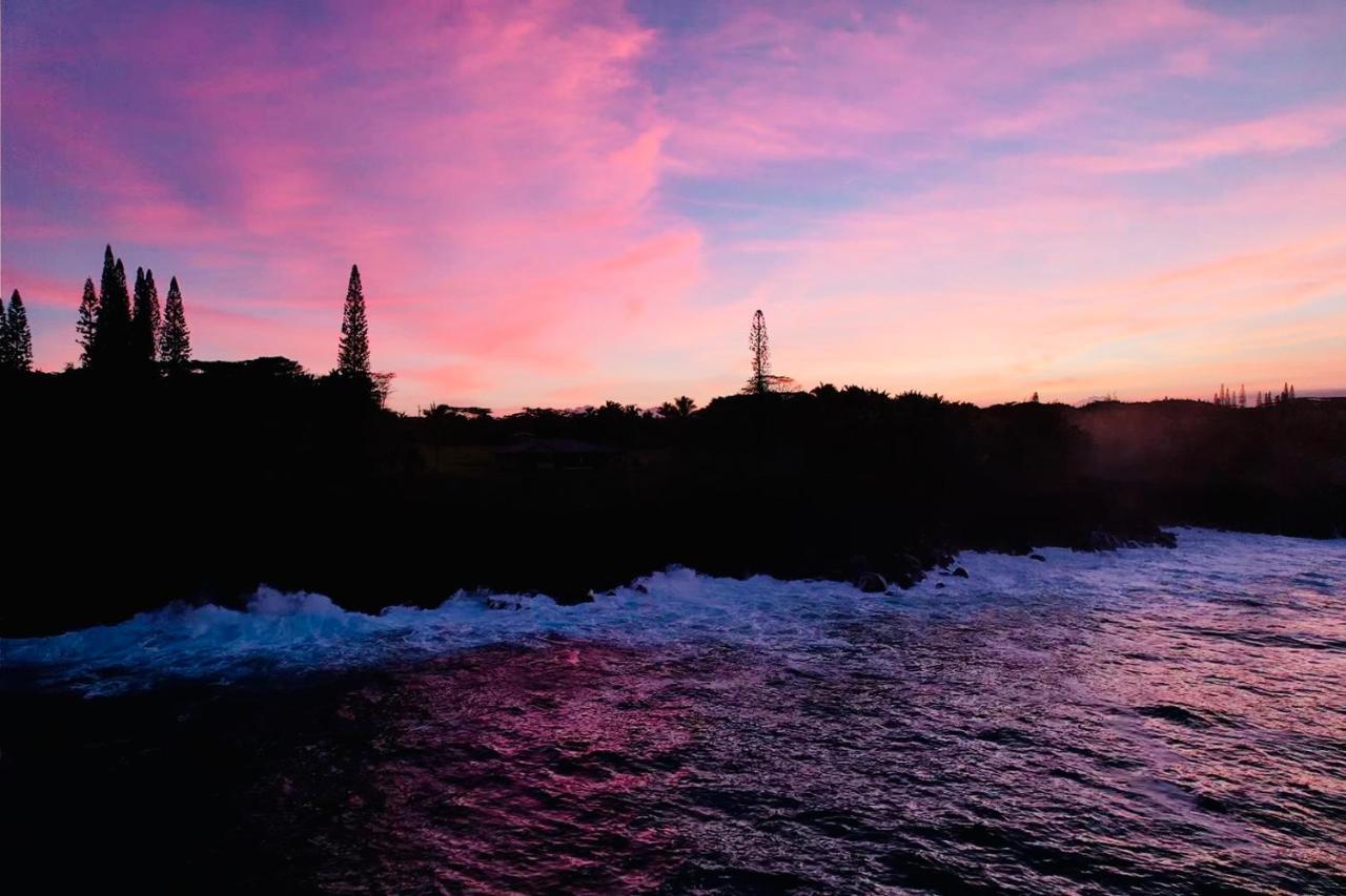Homestay Wild Blue Water Pahoa