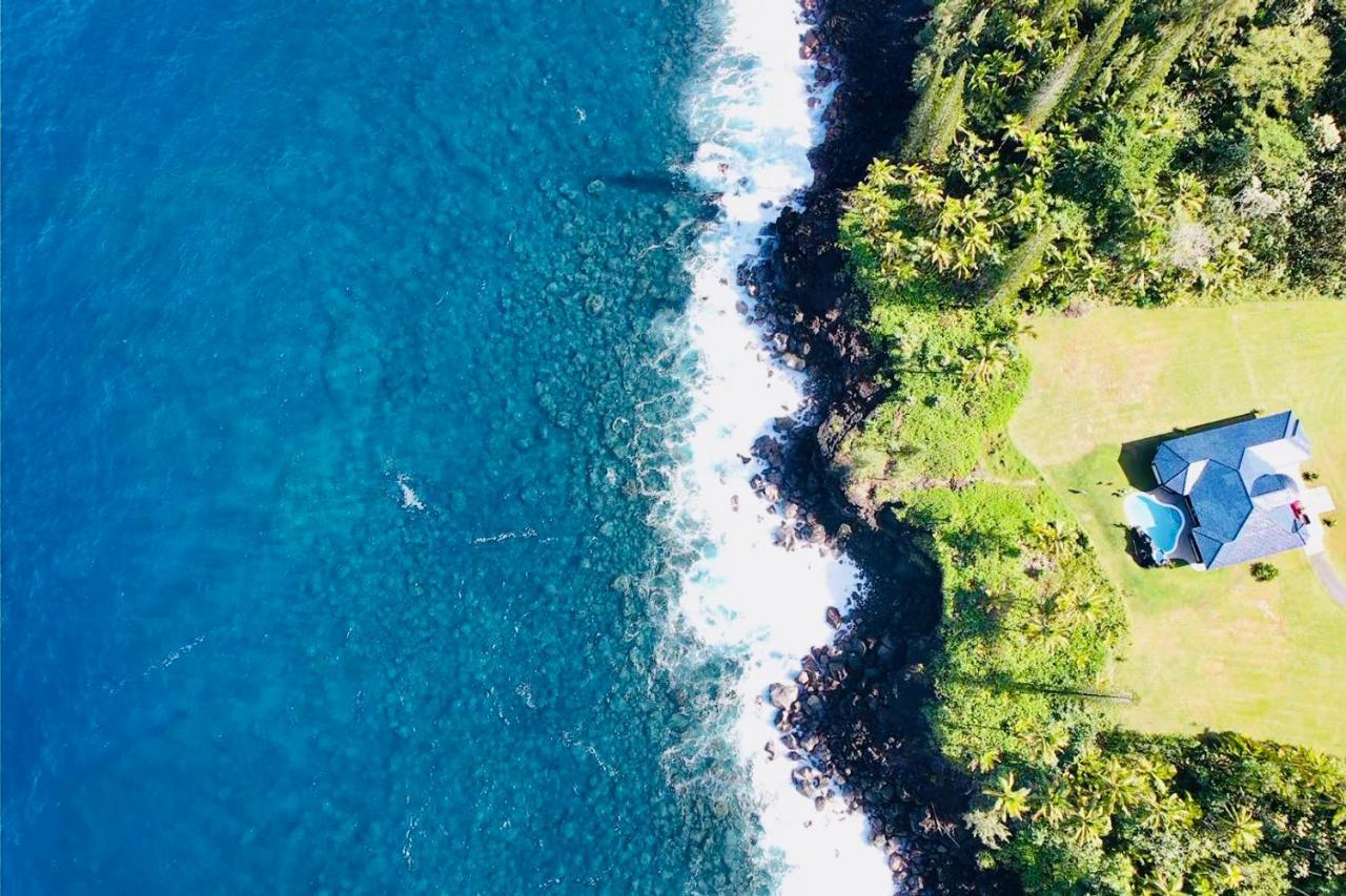 Wild Blue Water Homestay *